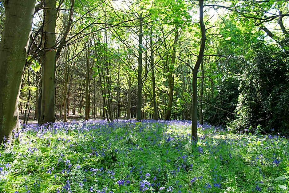 Colston Hall Farmhouse B&B