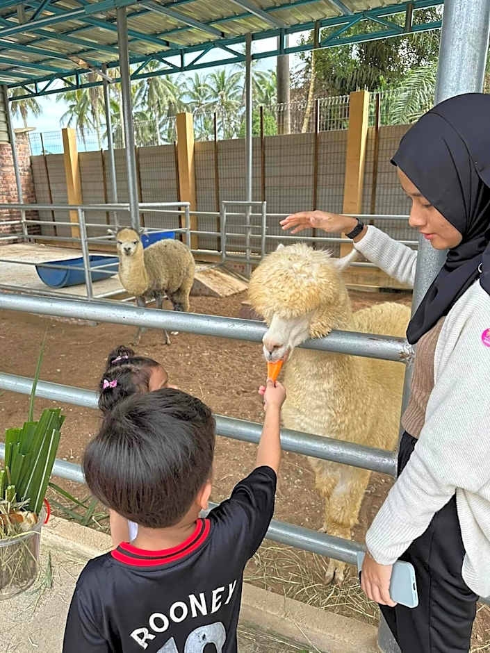 ANGGERIK IMPIAN HOTEL -Best for Travellers at Kuala Berang