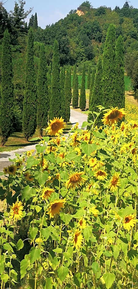 Agriturismo Cascina Cipressa