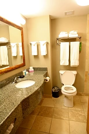 2 Queen Beds, Studio Suite, Lake View, Non-Smoking