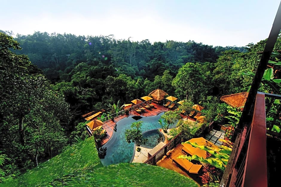 Nandini Jungle by Hanging Gardens