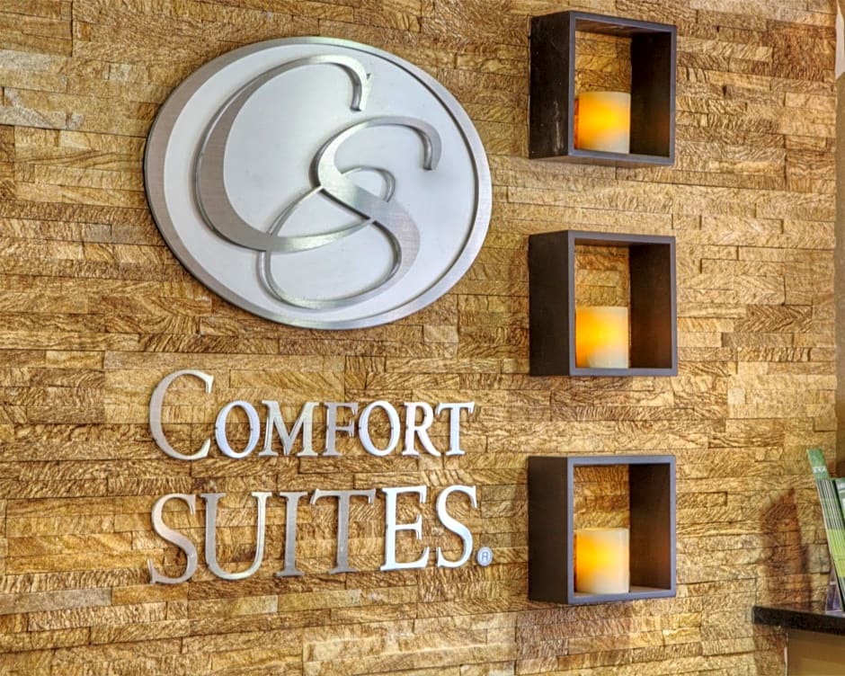 Comfort Suites Plymouth near US-30