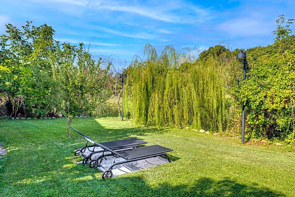 Tenuta di Palú