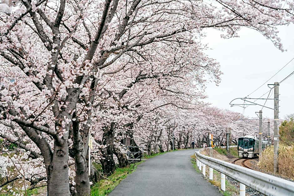 UHN Nara Mannenhitsu Hompo formerly RITA Gosemachi