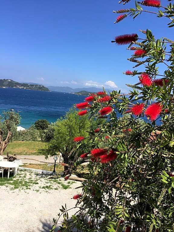 vassilias beach hotel