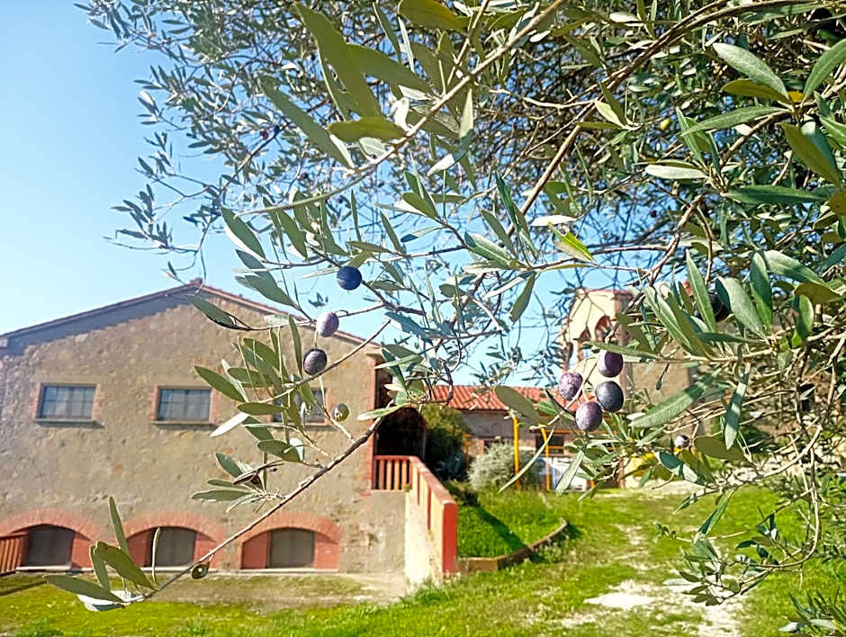 Trasimeno Nature house