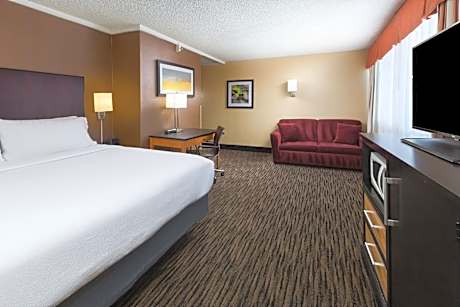 1 King Bed Premium