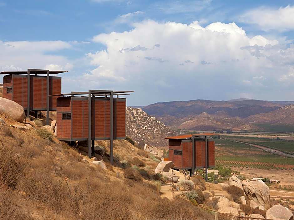 Encuentro Guadalupe