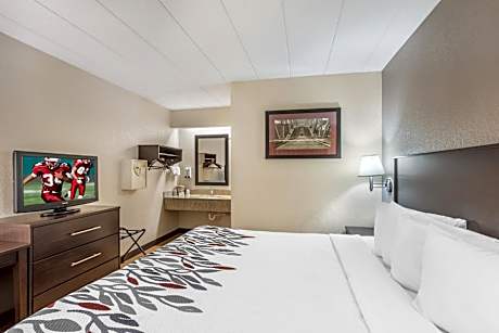 Standard Room with One Double Bed Disability Access Smoke Free