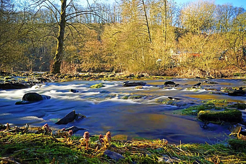 Room in Farmhouse Berkel