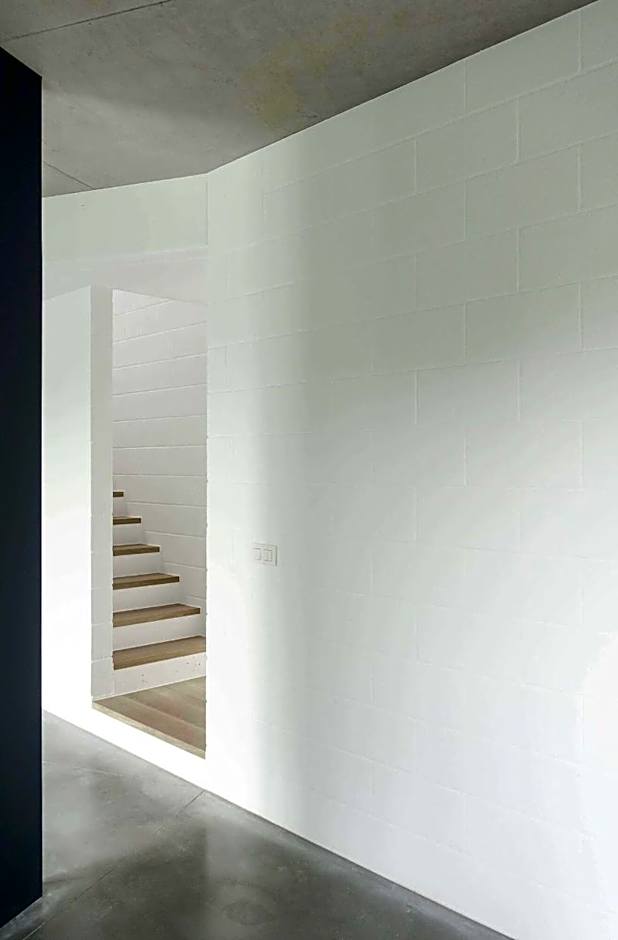 Dimensions M