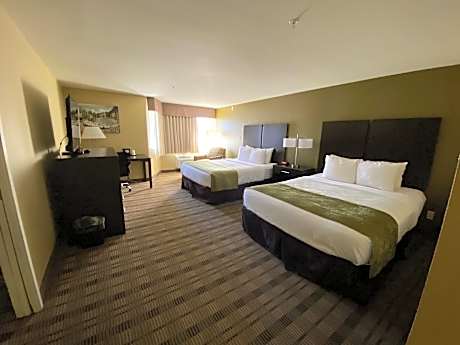 2 Bedroom Suite