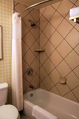 1 King Bed Deluxe Suite