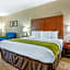 Comfort Inn Lenoir City-Knoxville