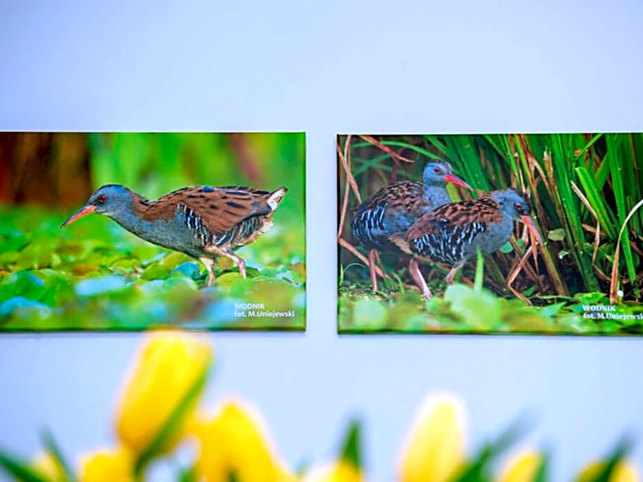 Gościniec Ptasi Zaułek