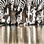 Last Word Madikwe