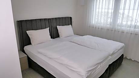 Twin or Double Room
