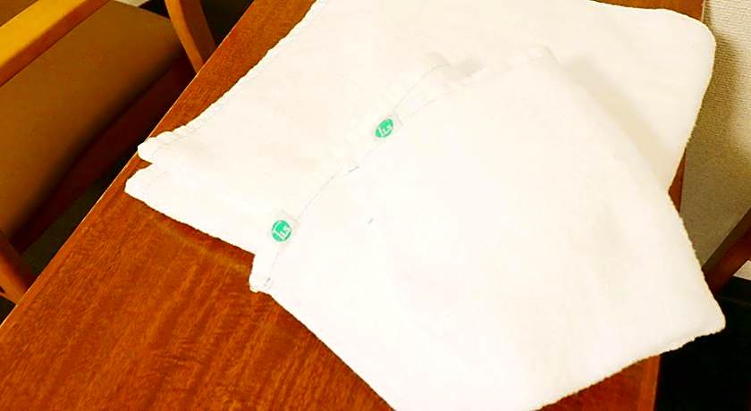 Odawara Terminal Hotel