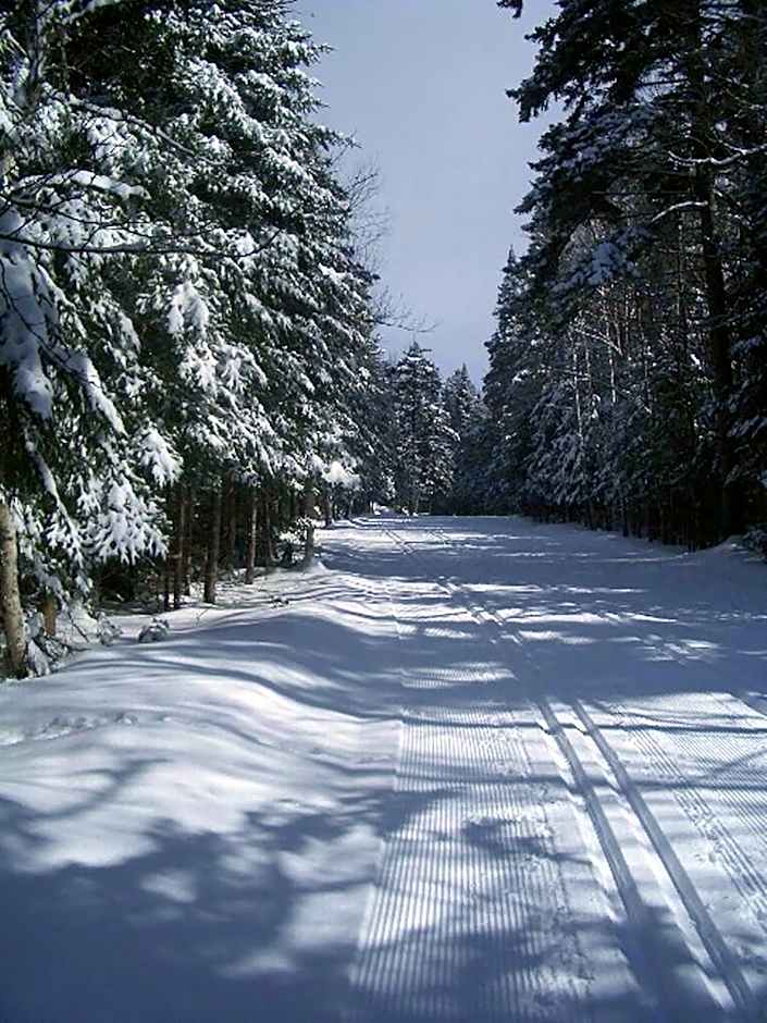 Adirondack Spruce Lodge