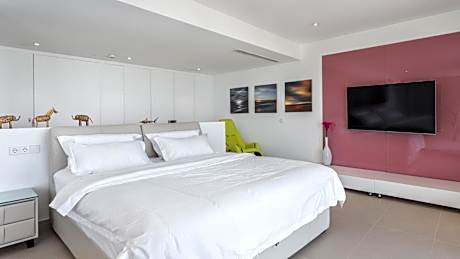 Penthouse Apartment