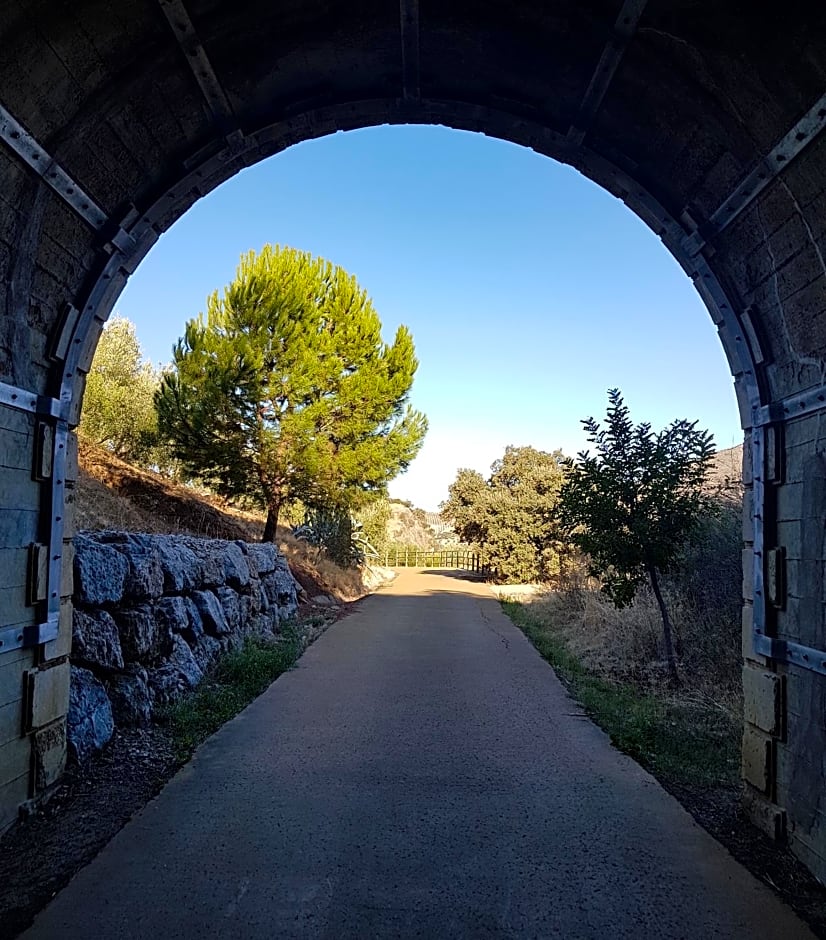 Olive Tree Bed and Breakfast