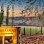 City Break Cottage for couples 27 mins CHC Airport