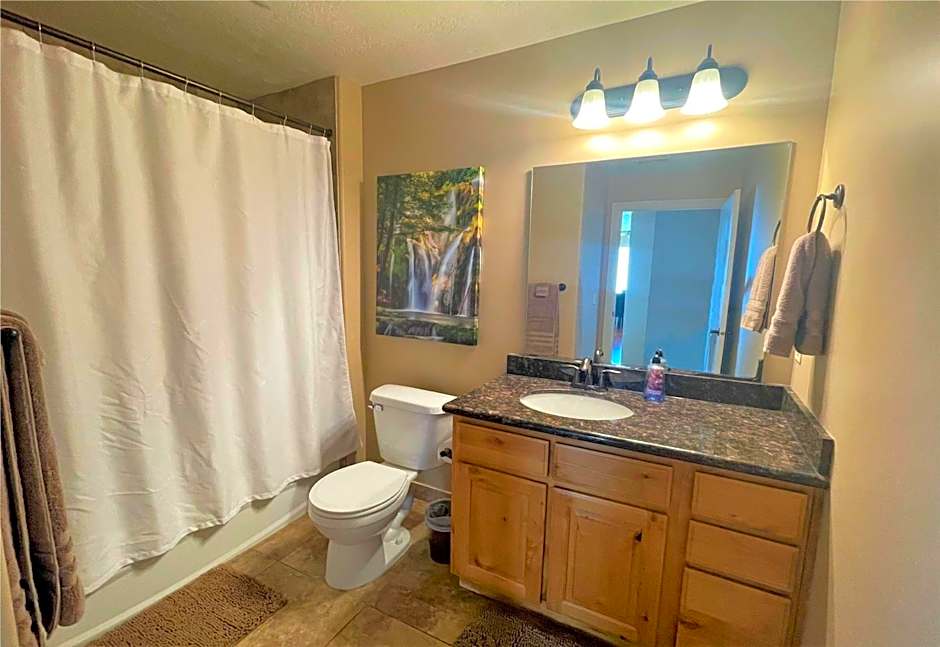 Deluxe Downtown Condo Close to Everything!