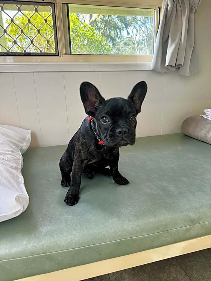 Kipara Tropical Rainforest Retreat