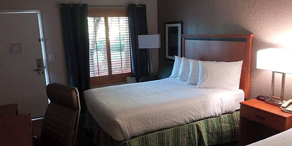 SureStay Plus Hotel by Best Western Clearwater Central