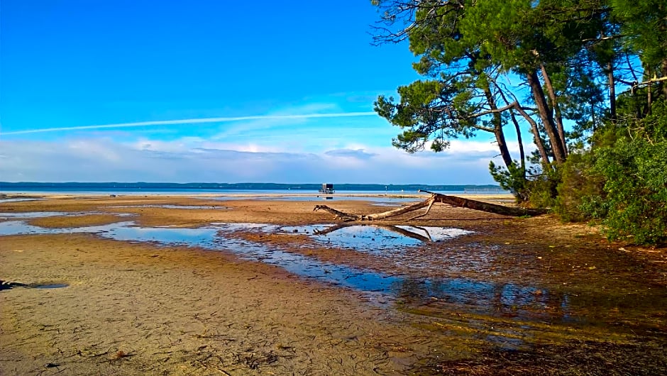 Les Calicots Sanguinet