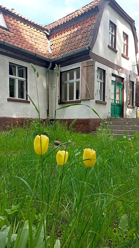 Dom na Mazurach Pilec