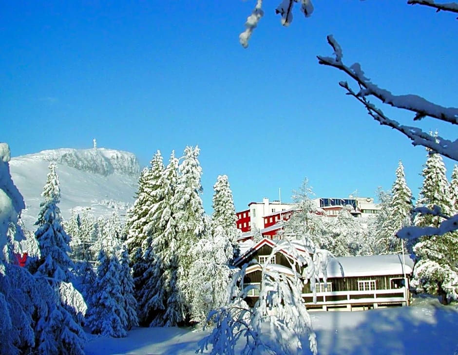 Thon Hotel Skeikampen