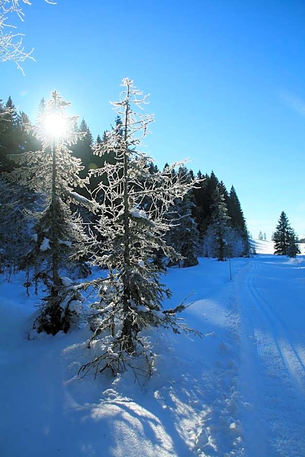 Au Coeur du Lapidaire