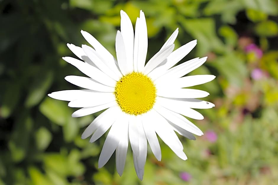 APARTHOTEL CABICASTRO Tres estrellas superior