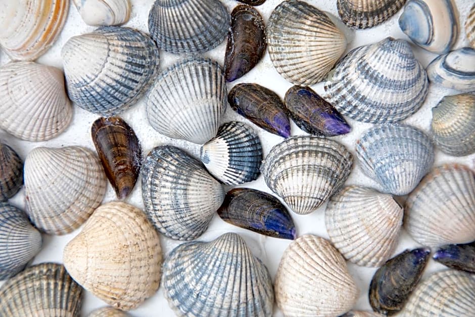 Wulpenweid Bed & Parking