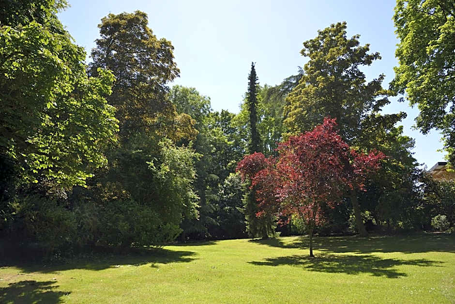 Le Château d'Hermonville B&B / Chambres d'hôtes