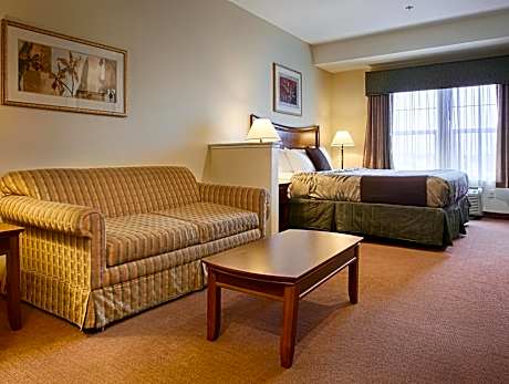 Suite-1 King Bed