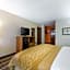 Quality Inn Stephens City-Winchester South