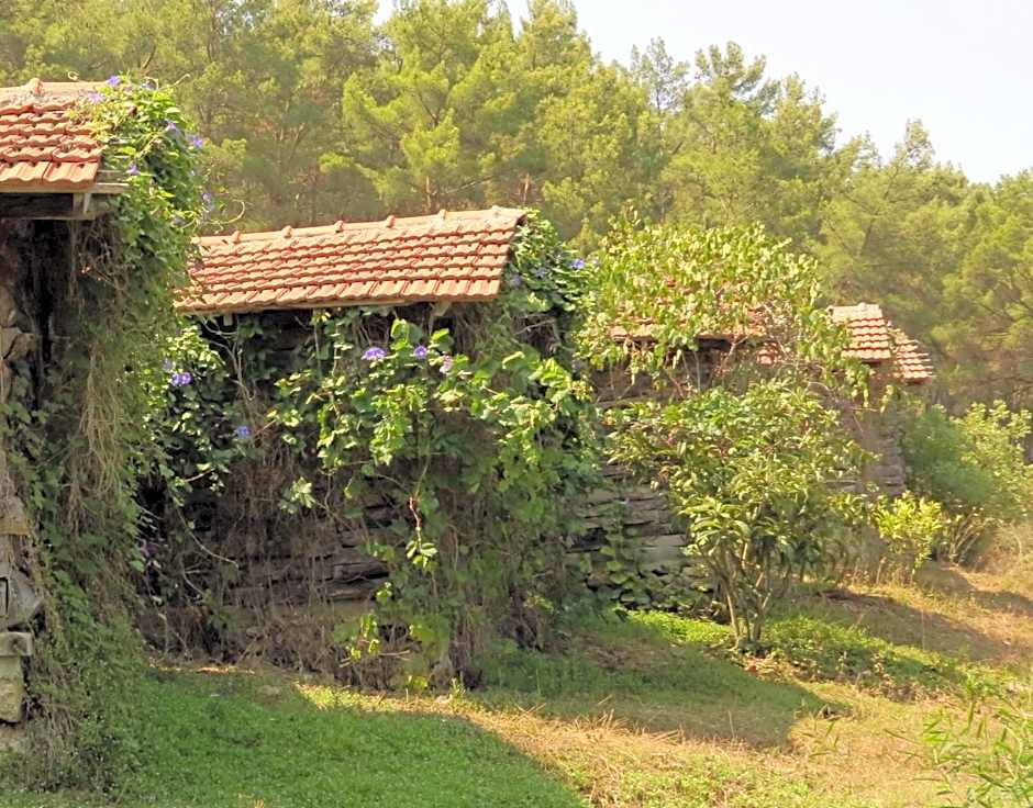 HavaSuPark Bungalows