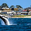 Bermagui Beach Hotel