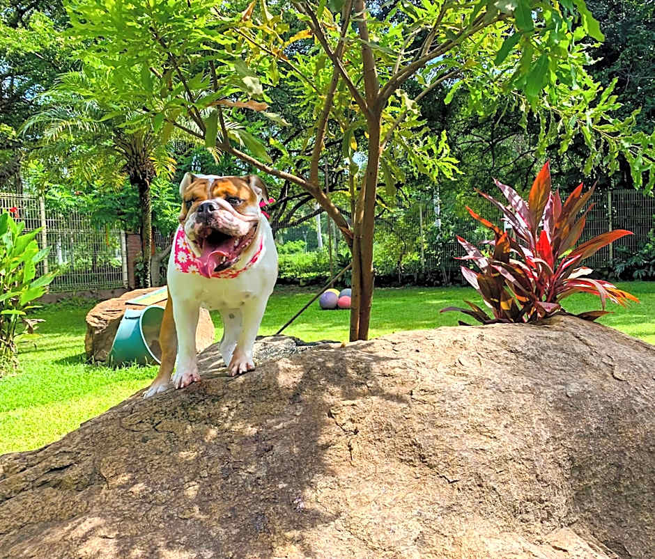 Puerto de Luna Pet Friendly and Family Suites