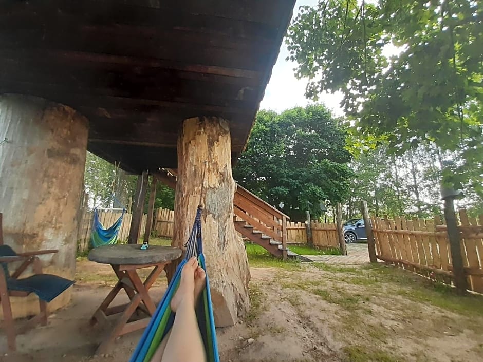 Podlasie Domek na drzewach