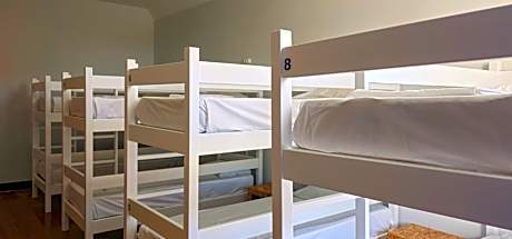 Bed in 8-Bed Mixed Dormitory Room