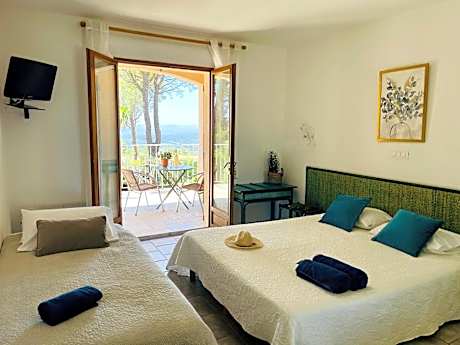 Triple Room with Terrace
