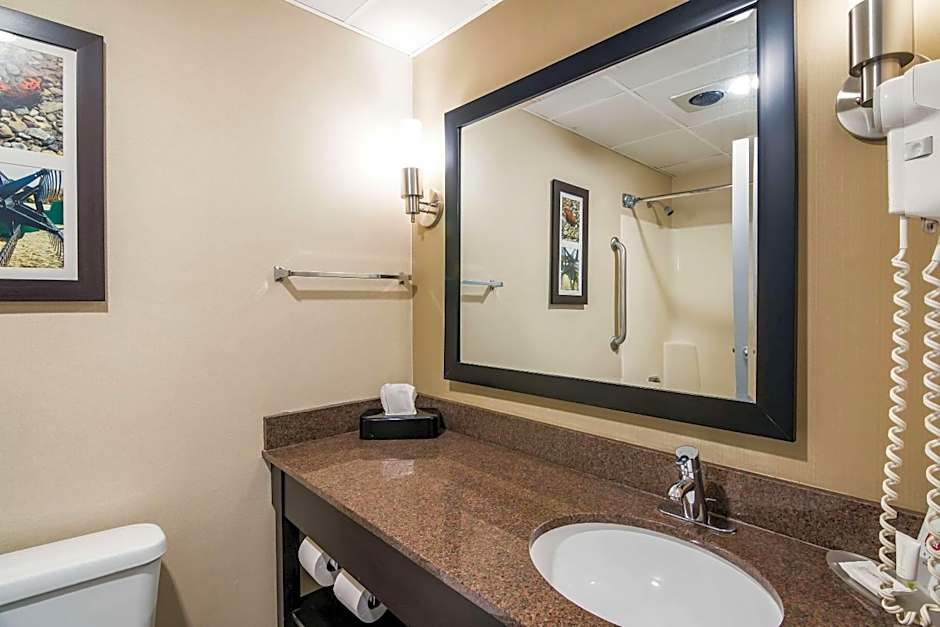 Clarion Pointe Jamestown - Falconer