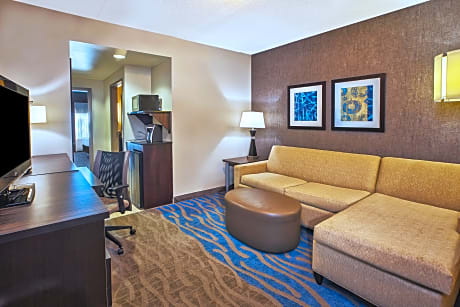 Suite King Bed Non Smoking