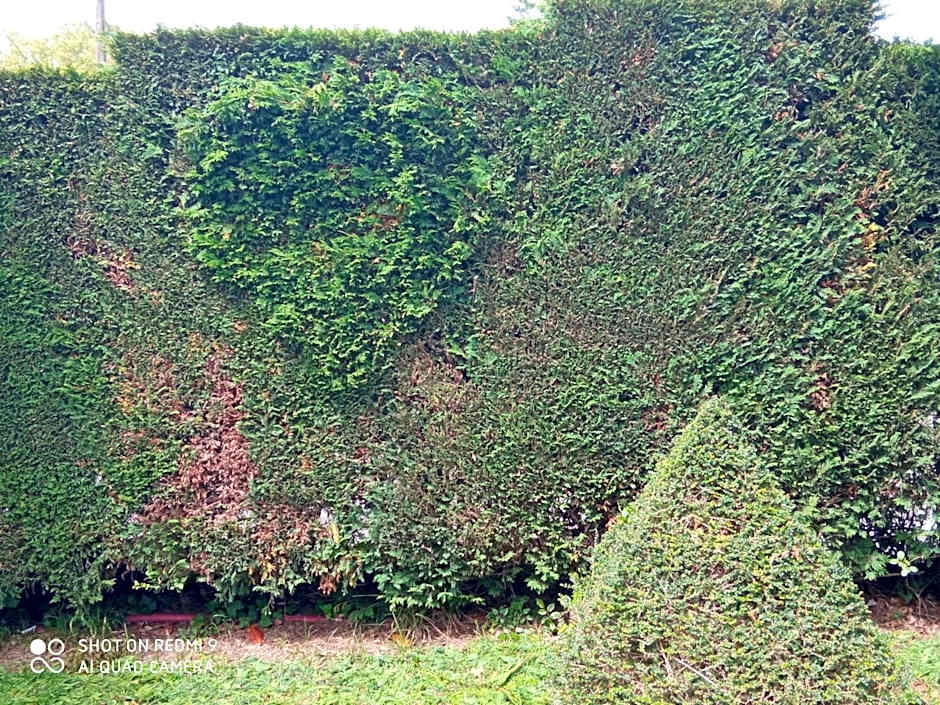 Hotel Rural El Pagadín