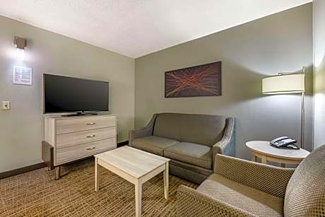 One-Bedroom King Suite with Sofa Bed