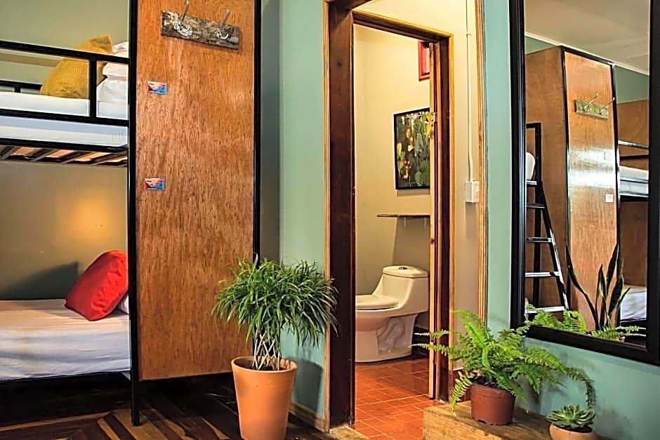 Socialtel Monteverde