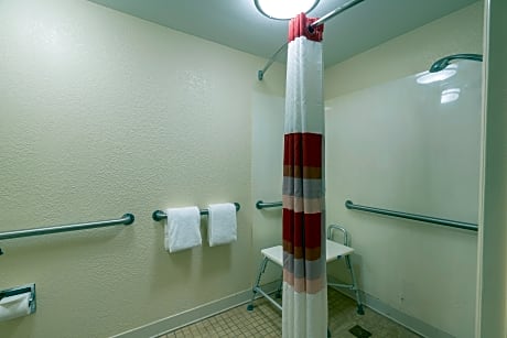 Deluxe King Room Disability Access Roll-In Shower Smoke Free